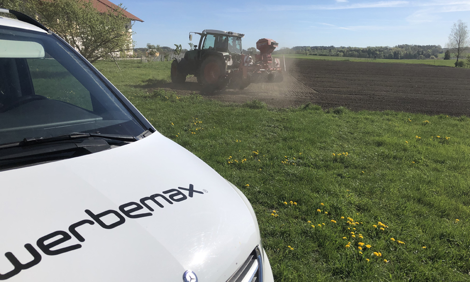Aussaat Blumenwiese werbemax