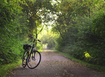 Fahrrad im Wald Radfahren Werbeartikel 
